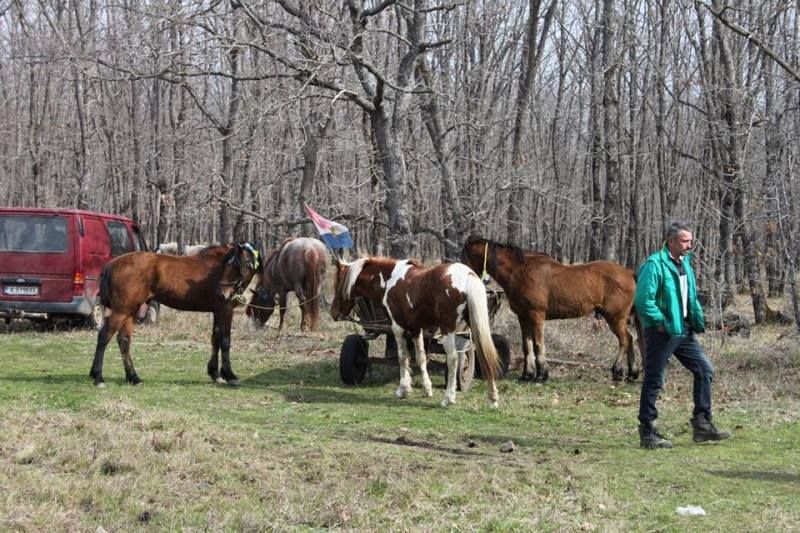 14 коня препускат на кушиите в Приморско - E-Burgas.com